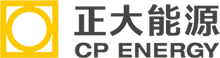 正大能源材料（大连）有限公司